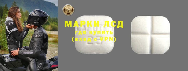 стаф Арсеньев