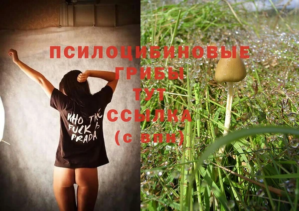 бошки Алексин