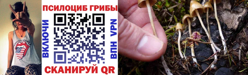 Галлюциногенные грибы Magic Shrooms  дарк нет телеграм  Усинск 