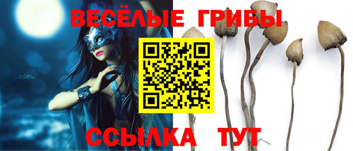 Псилоцибиновые грибы мицелий  Псилоцибиновые грибы GOLDEN TEACHER  Усинск  Вход с VPN 